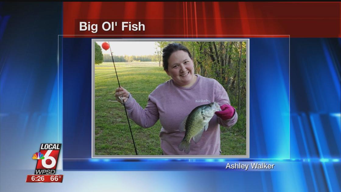 4 21 Big Ol Fish Sports Wpsd Local 6