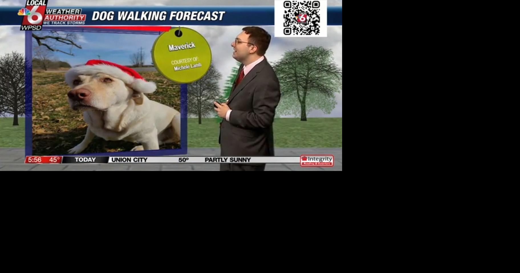 Dog walking forecast 12.24.24 | Weather
