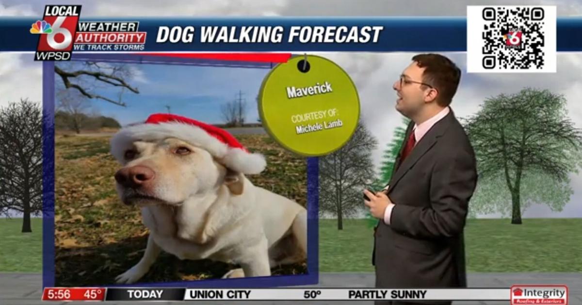 Dog walking forecast 12.24.24 | Weather Dog walking forecast 12.24.24 | Weather