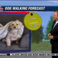 Dog Walking Forecast: Thursday, May 30, 2024 | Dog Walking Forecast Dog Walking Forecast: Thursday, May 30, 2024 | Dog Walking Forecast