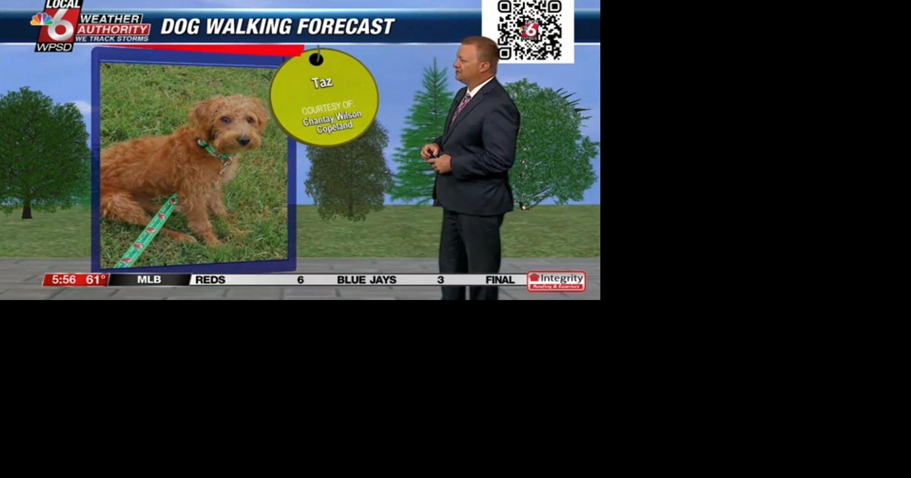 Dog walking forecast 8.20.24 | Weather