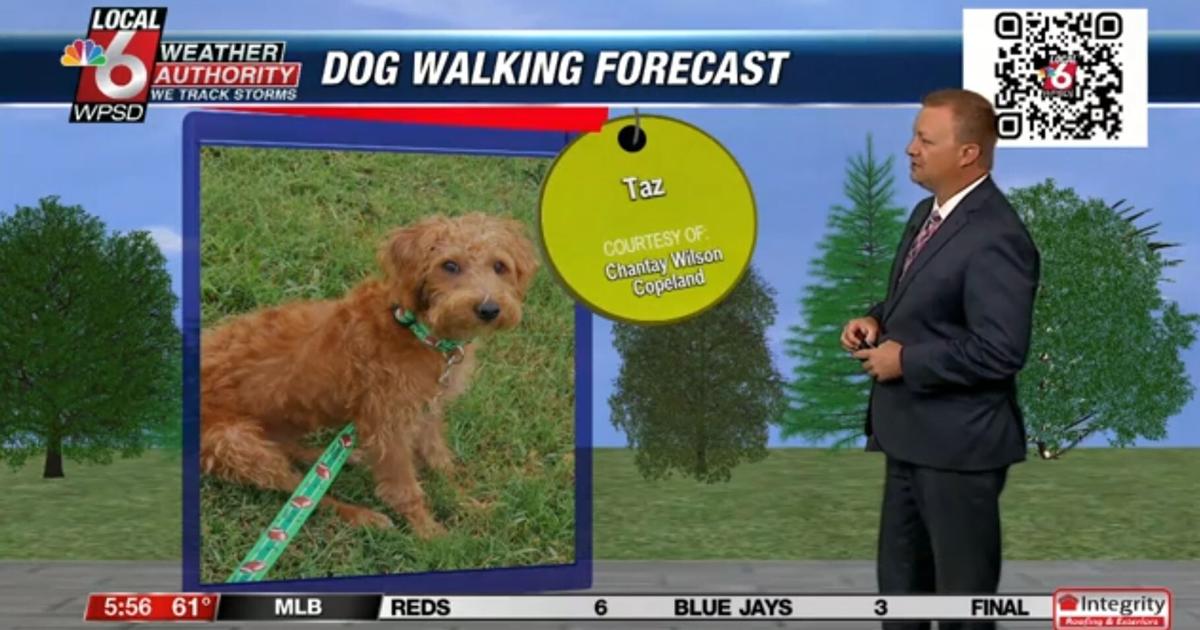 Dog walking forecast 8.20.24 | Weather Dog walking forecast 8.20.24 | Weather