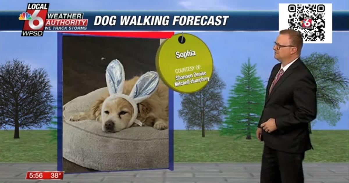 Dog walking forecast 4.16.25 | Weather Dog walking forecast 4.16.25 | Weather