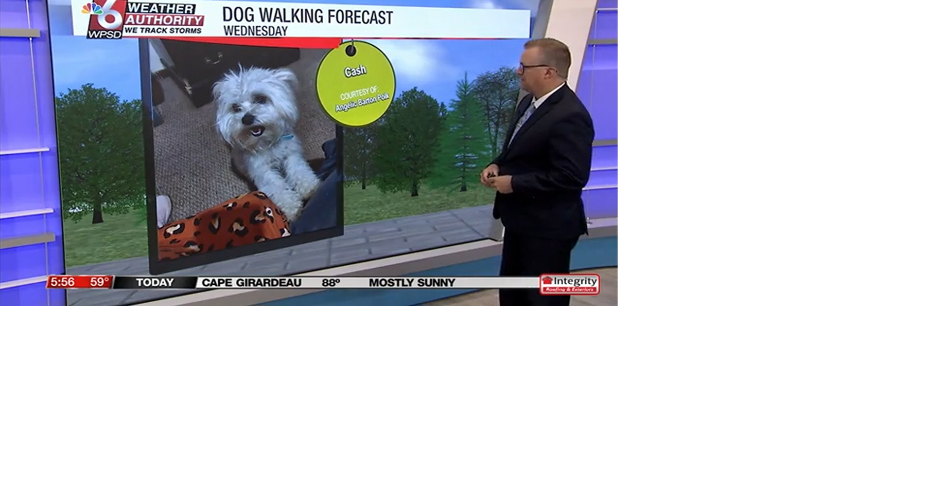 Dog walking forecast 9.3.25