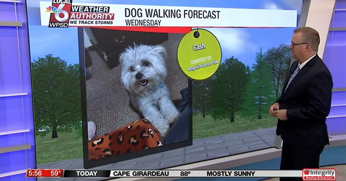 Dog walking forecast 9.3.25 Dog walking forecast 9.3.25