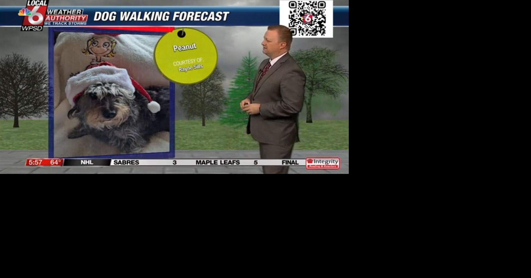 Dog walking forecast 12.16.24 | Weather