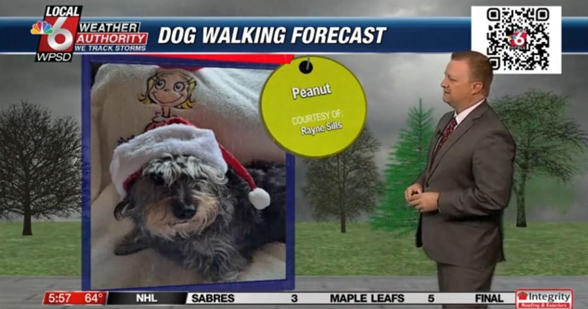 Dog walking forecast 12.16.24 | Weather Dog walking forecast 12.16.24 | Weather