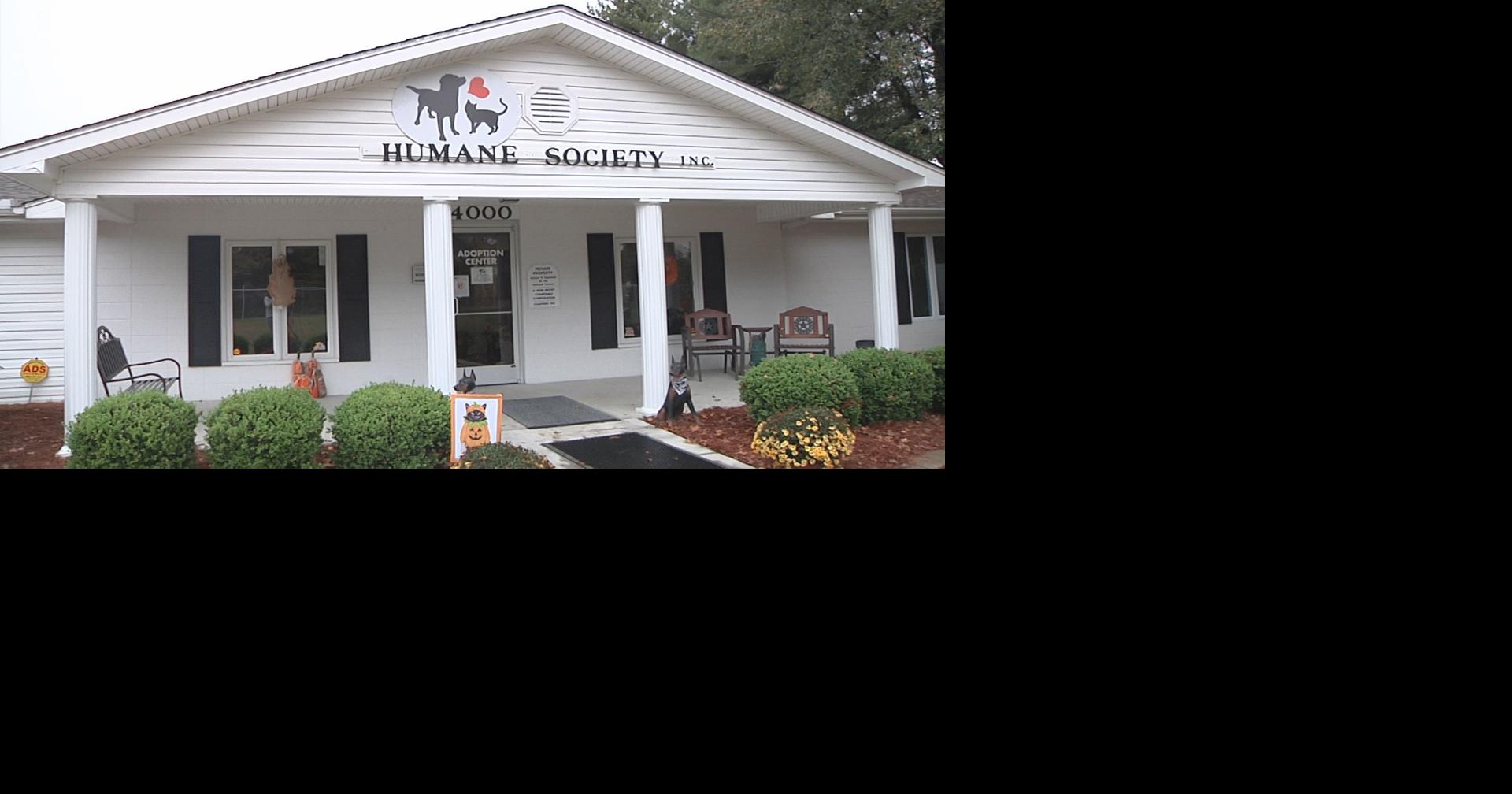 McCracken County Humane Society over capacity, urgently seeking fosters