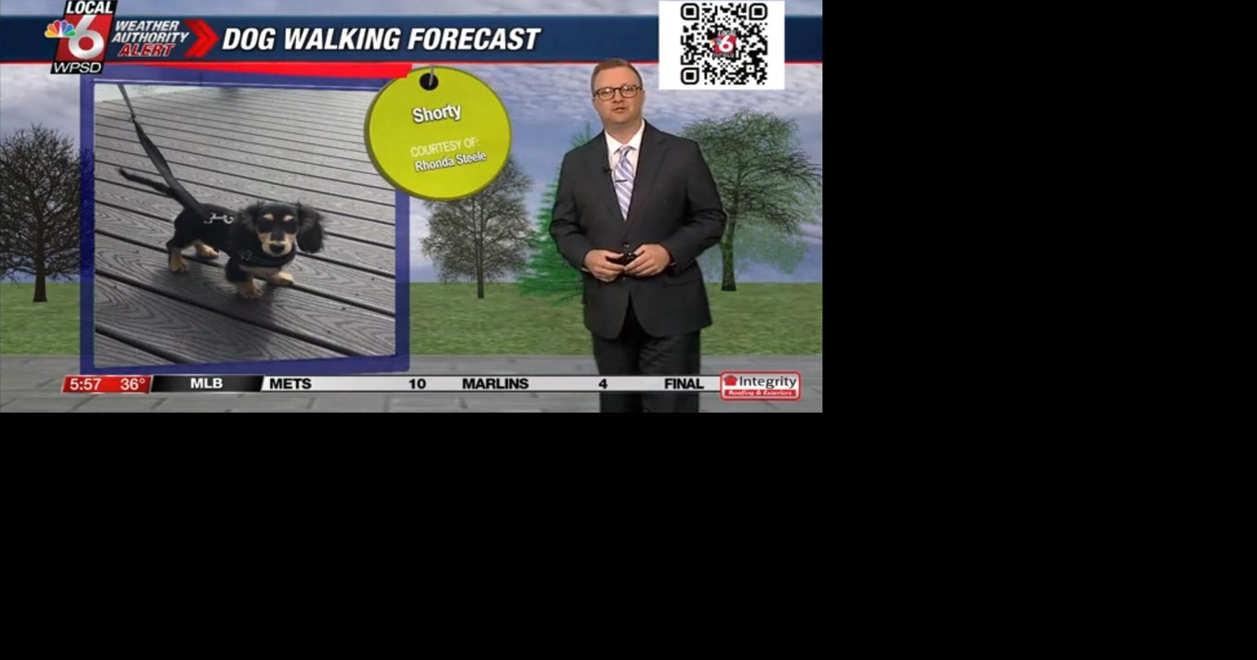 Dog walking forecast 4.1.25 | Weather