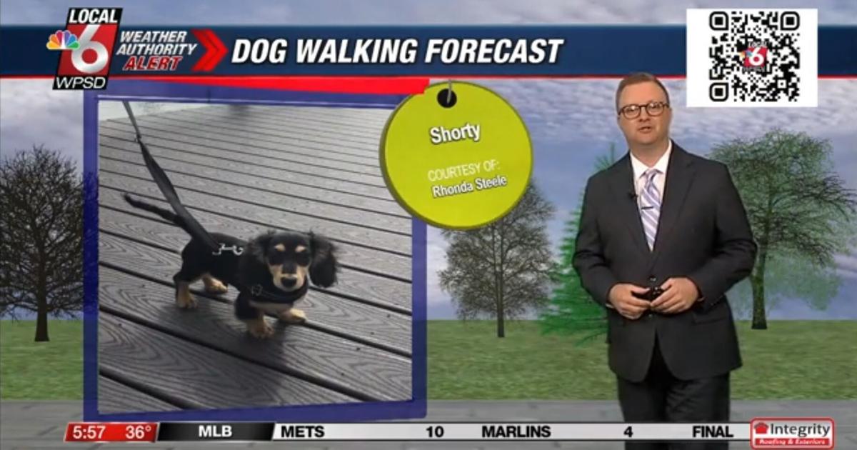 Dog walking forecast 4.1.25 | Weather Dog walking forecast 4.1.25 | Weather