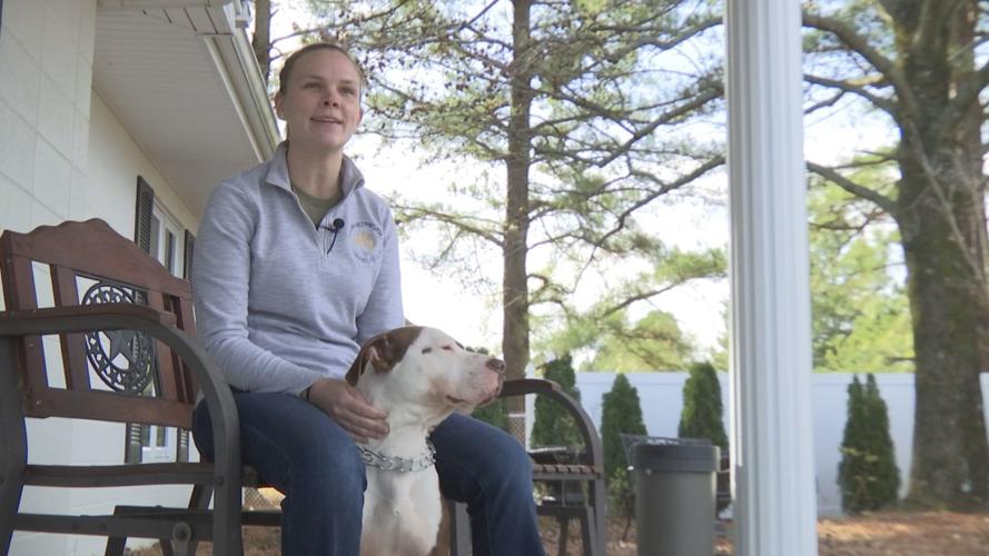 McCracken County Humane Society working with trainer to make dogs more