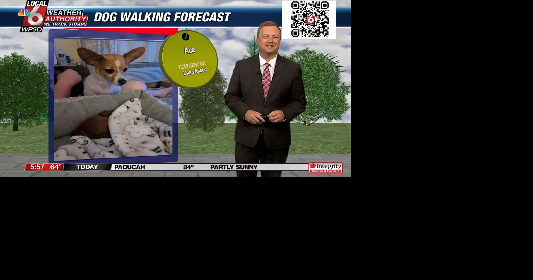 Dog walking forecast 8.12.24 | Weather