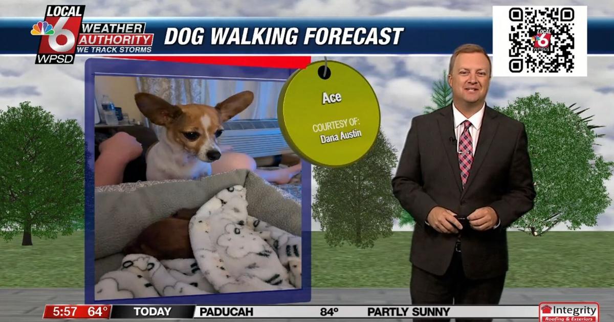 Dog walking forecast 8.12.24 | Weather Dog walking forecast 8.12.24 | Weather