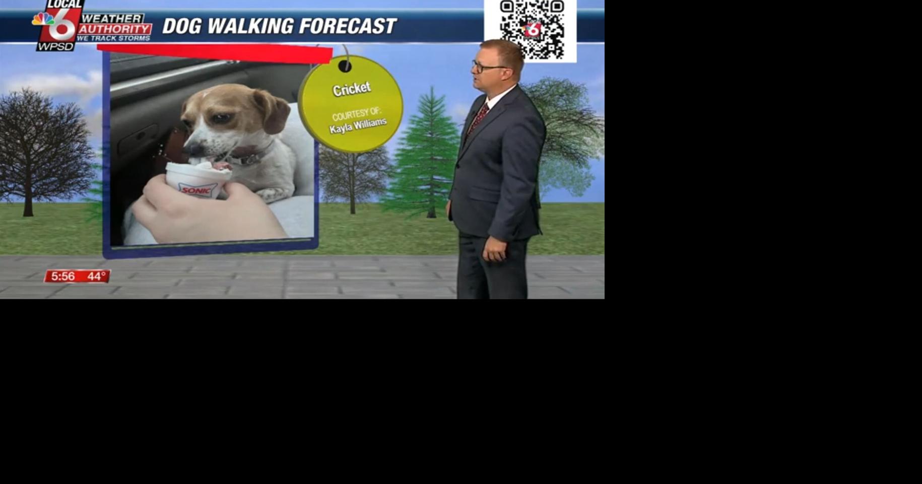 Dog walking forecast 5.6.25