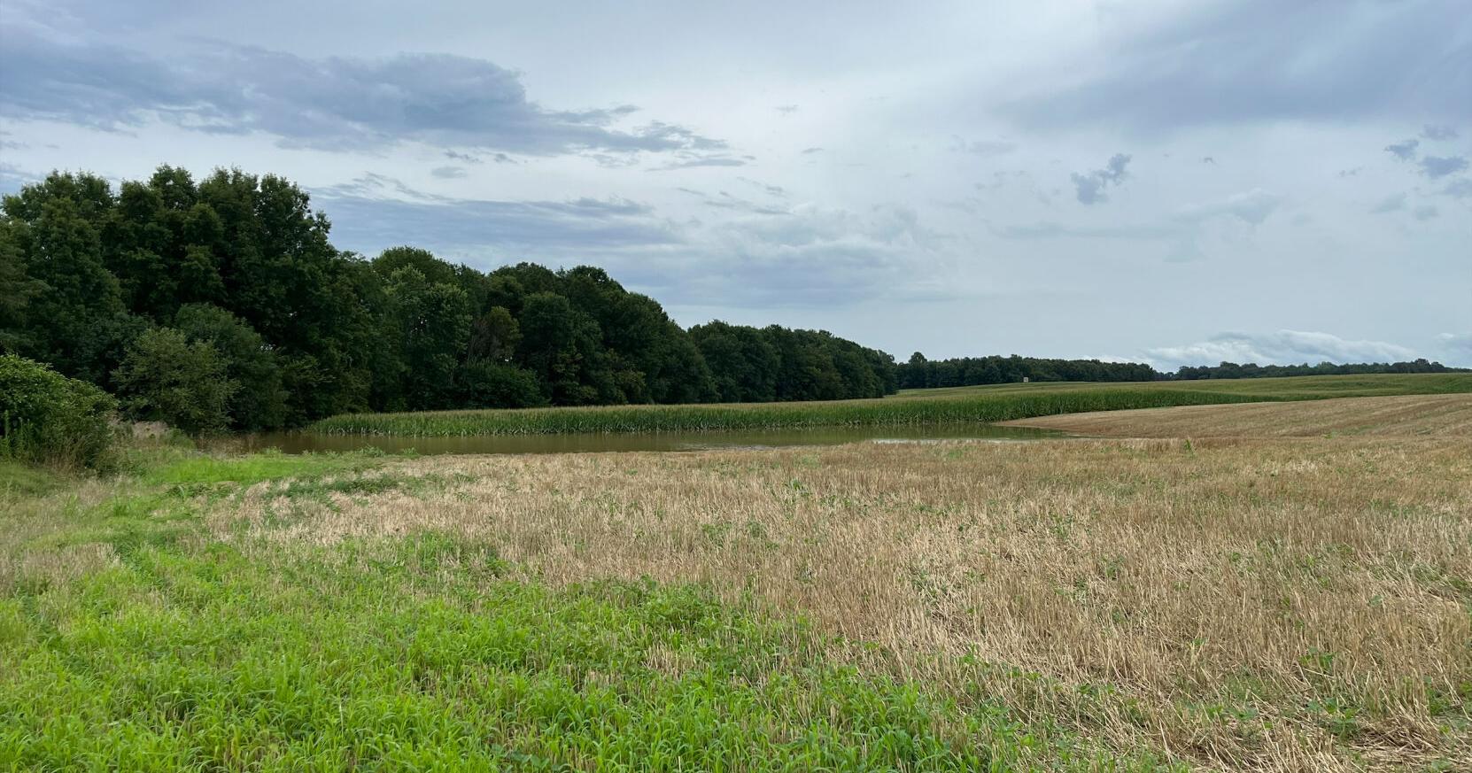 West Kentucky farmers assessing crop damage after Wednesday's flooding - Vimarsana News