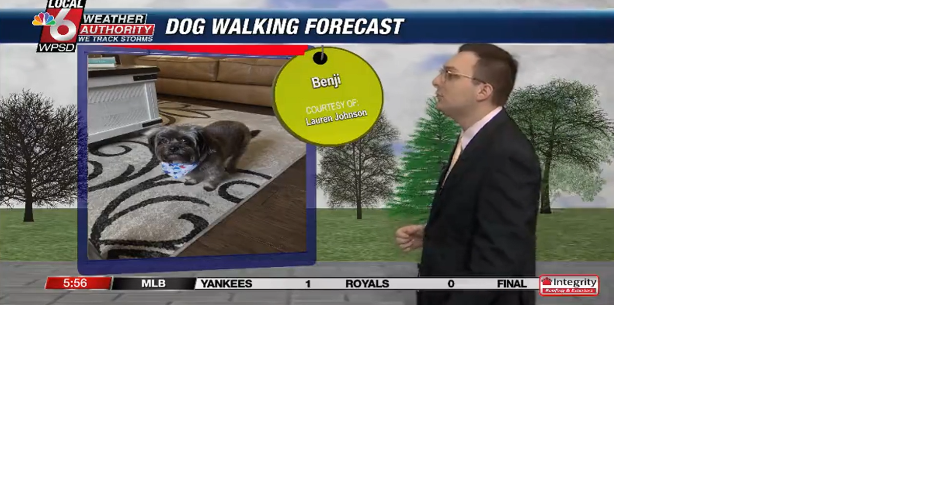 Dog walking forecast 6.13.25