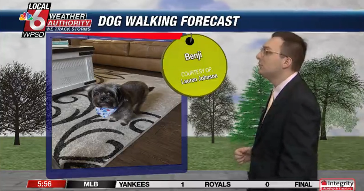 Dog walking forecast 6.13.25 Dog walking forecast 6.13.25