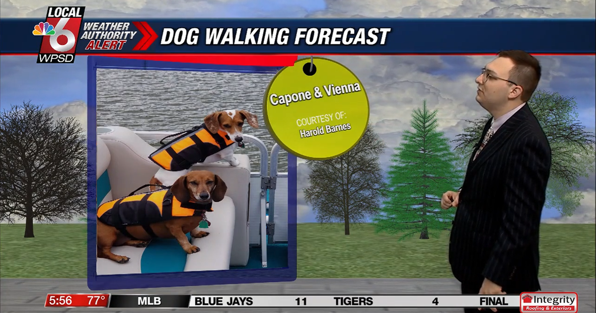 Dog walking forecast 7.25.25 Dog walking forecast 7.25.25