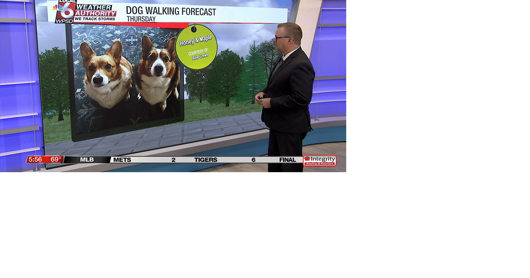 Dog walking forecast 9.4.25