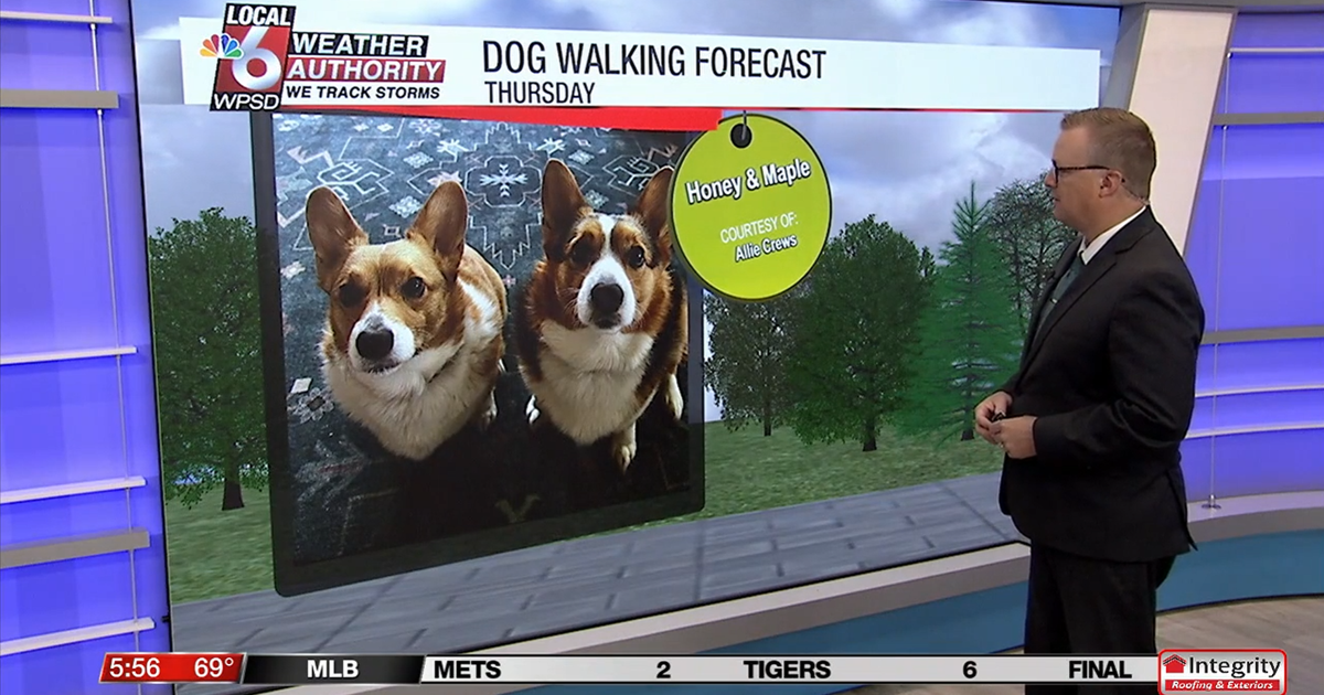 Dog walking forecast 9.4.25 Dog walking forecast 9.4.25