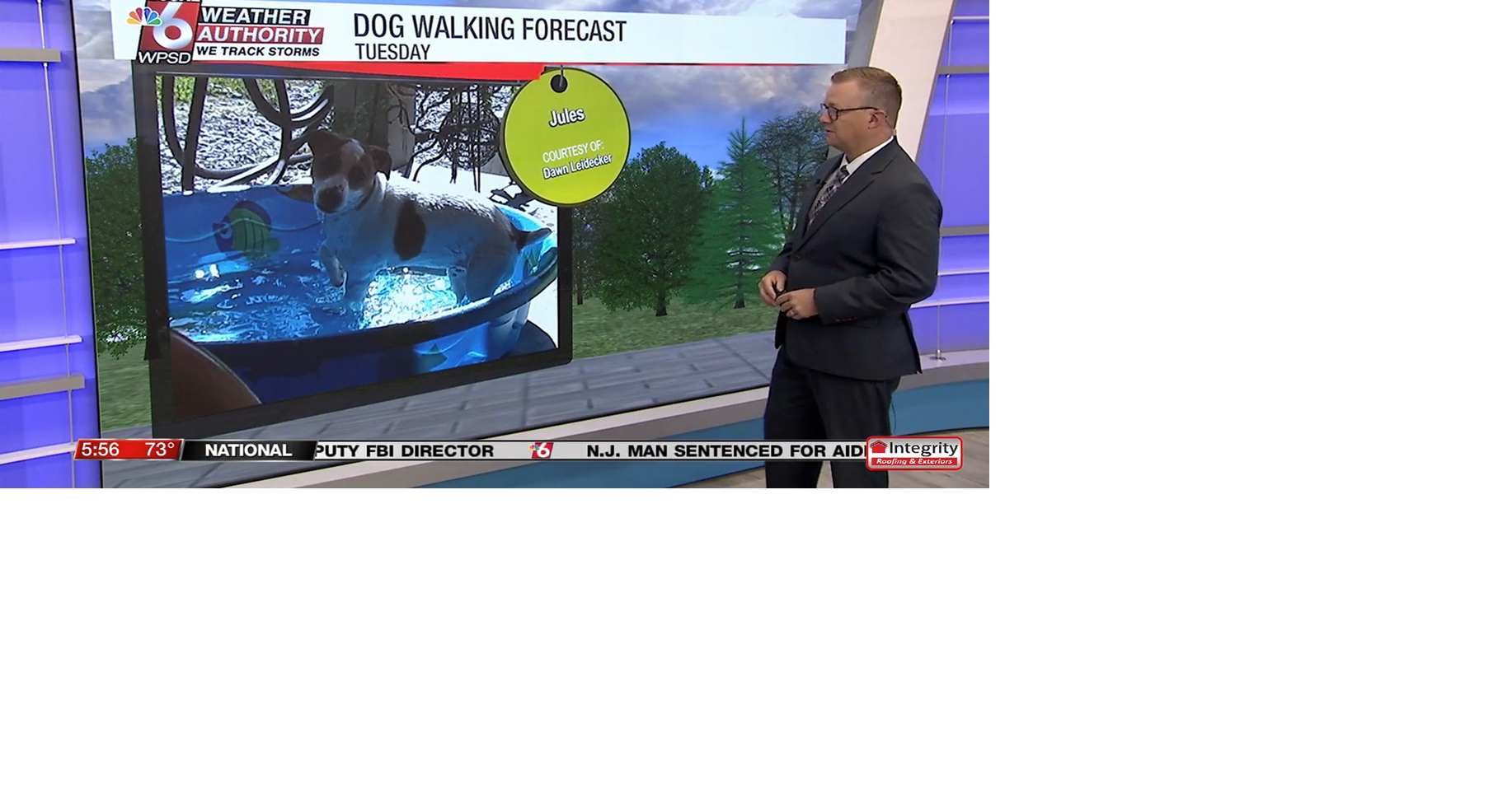 Dog walking forecast 8.19.25