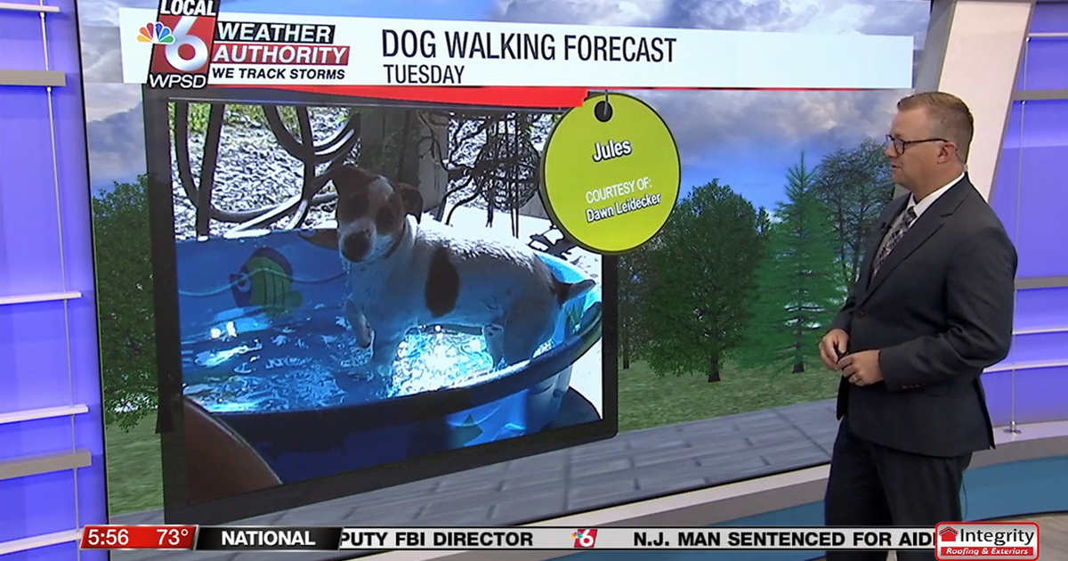 Dog walking forecast 8.19.25 Dog walking forecast 8.19.25