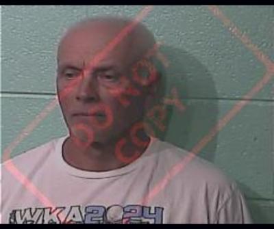 Benton, Ky., man arrested, charged in case of dog shot with pellet gun ...