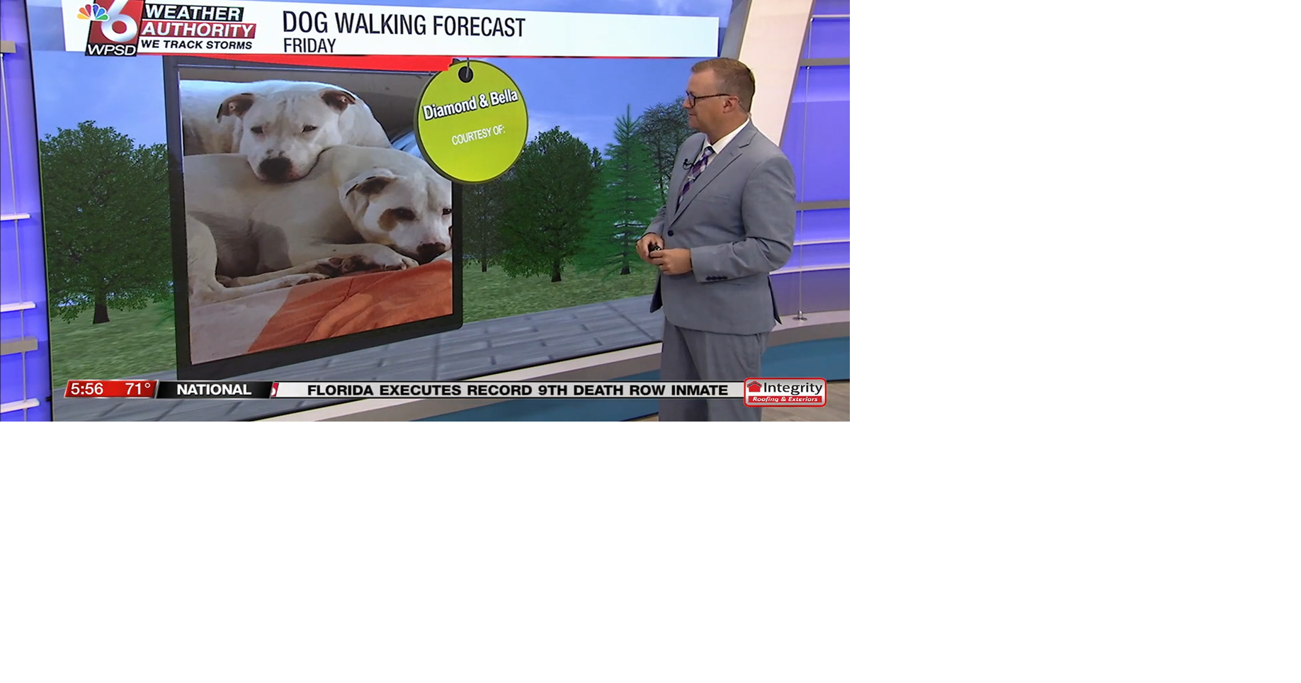 Dog walking forecast 8.1.25 | Weather