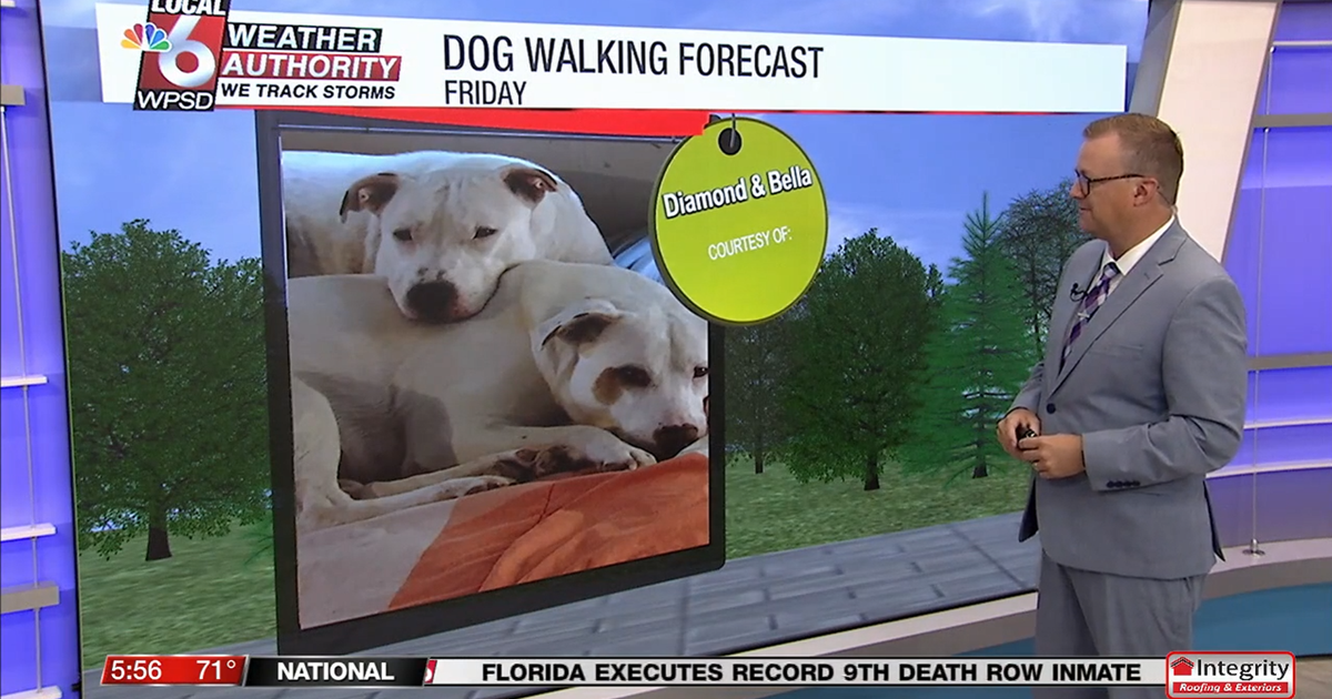 Dog walking forecast 8.1.25 | Weather Dog walking forecast 8.1.25 | Weather