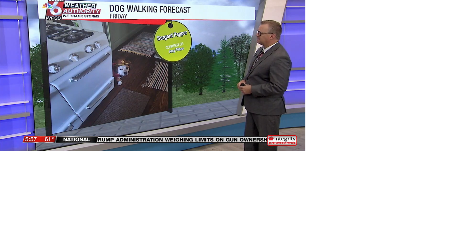 Dog walking forecast 9.5.25