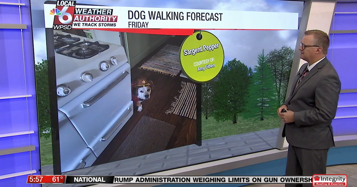 Dog walking forecast 9.5.25 Dog walking forecast 9.5.25