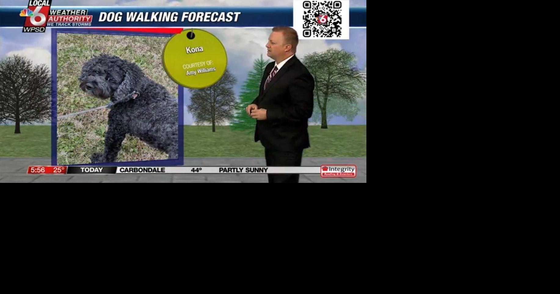 Dog walking forecast 12.12.24
