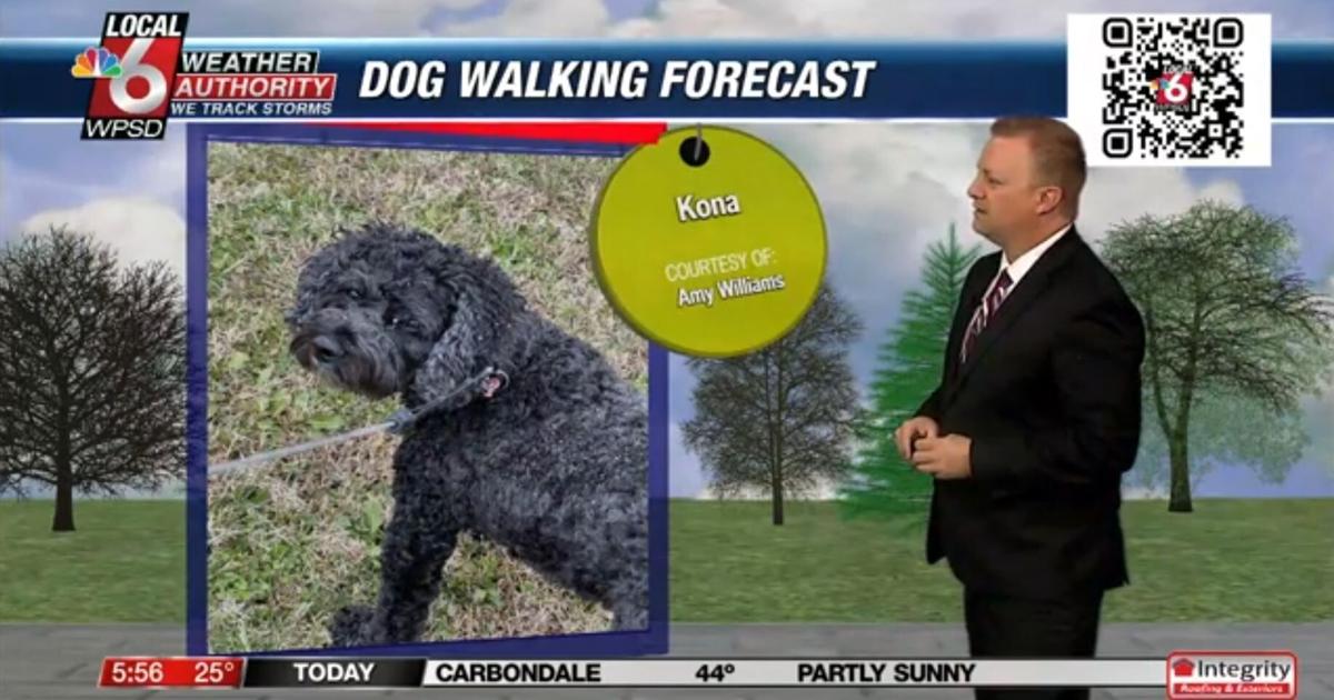 Dog walking forecast 12.12.24 Dog walking forecast 12.12.24