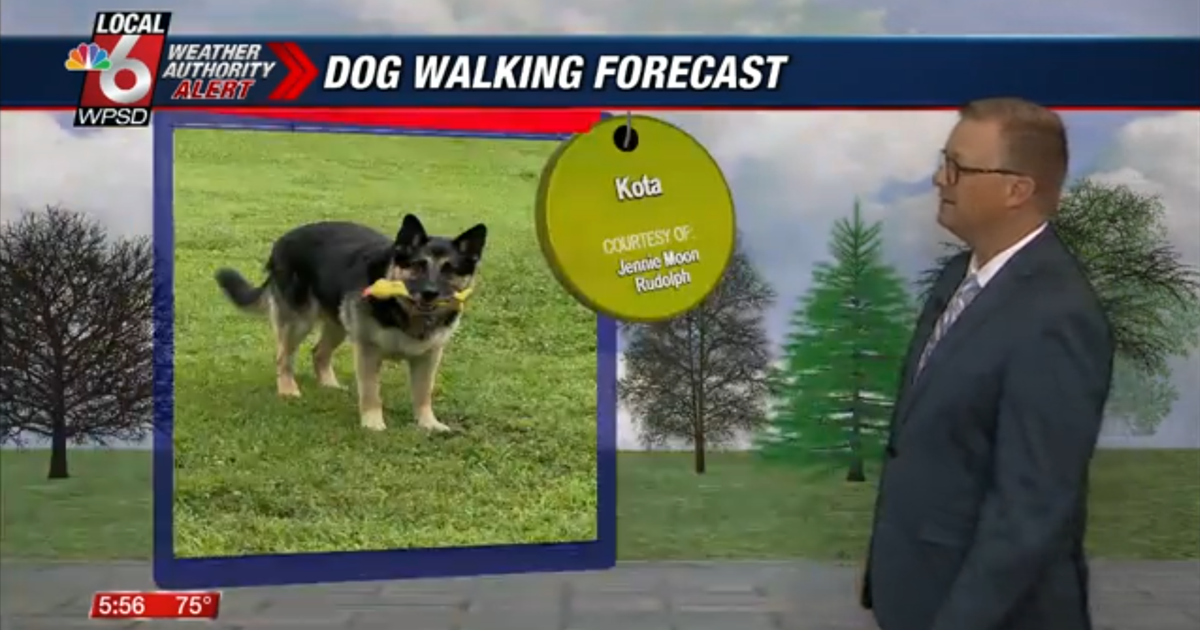 Dog walking forecast 6.23.25 | Weather Dog walking forecast 6.23.25 | Weather