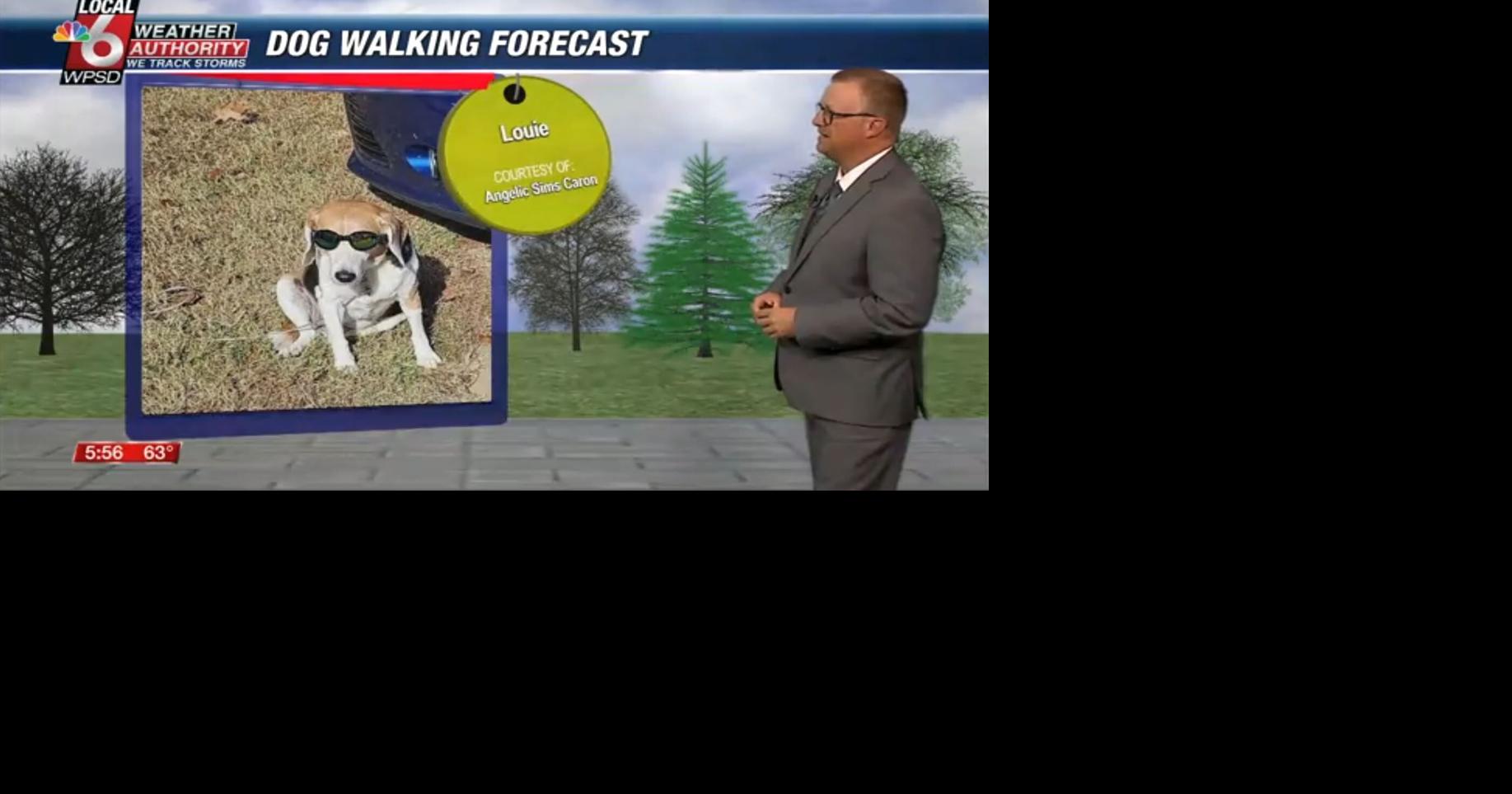 Dog walking forecast 6.2.25