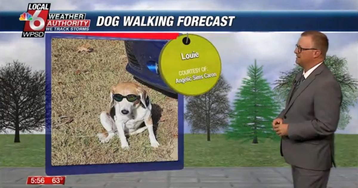 Dog walking forecast 6.2.25 Dog walking forecast 6.2.25