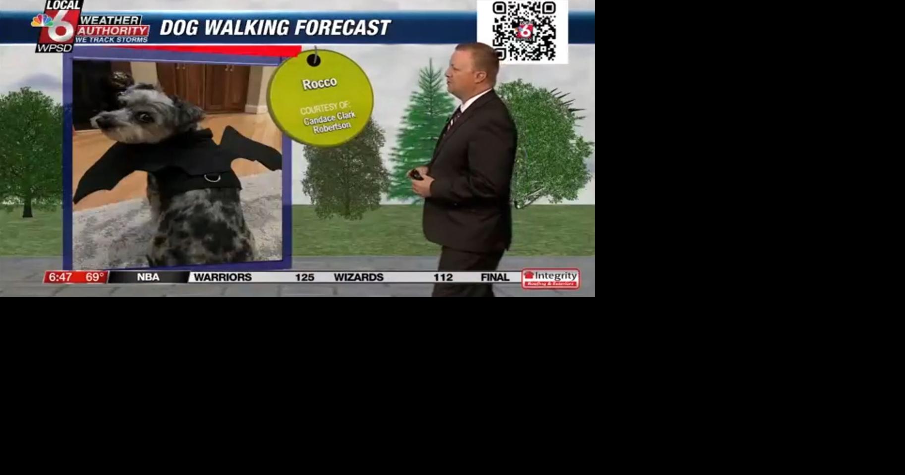Dog Walking Forecast 11.5.24