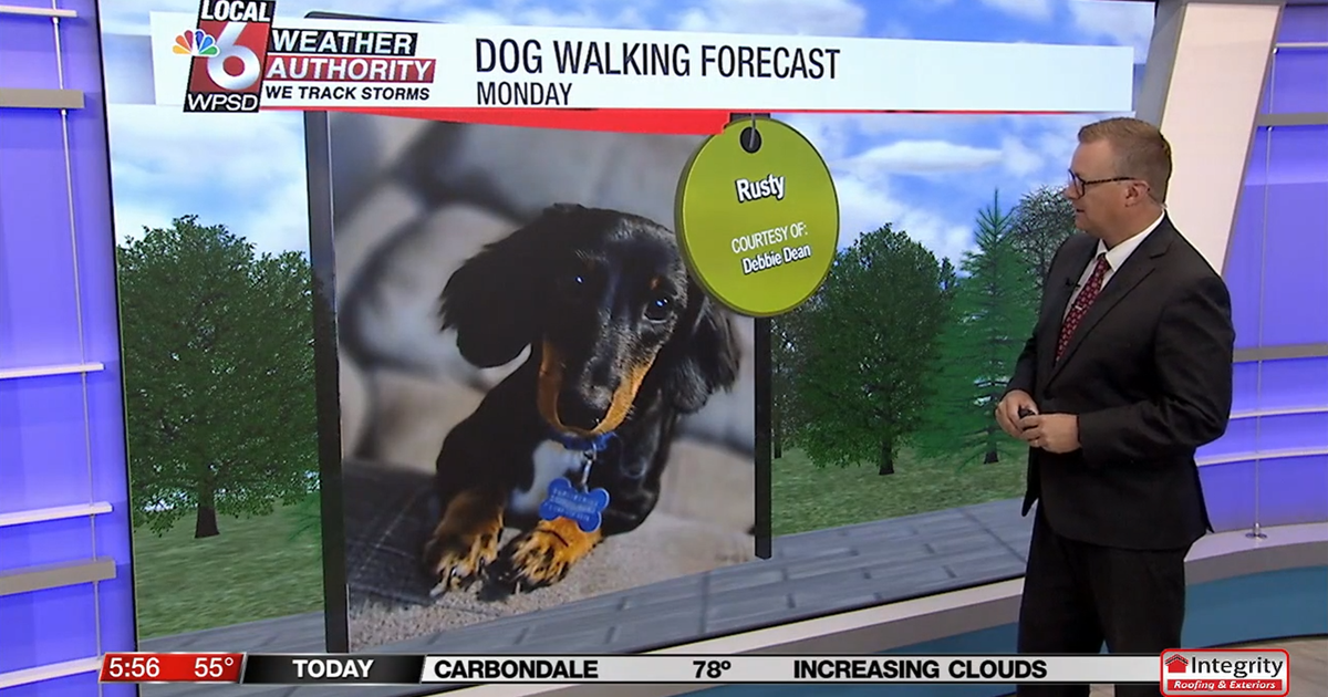 Dog walking forecast 8.25.25 Dog walking forecast 8.25.25