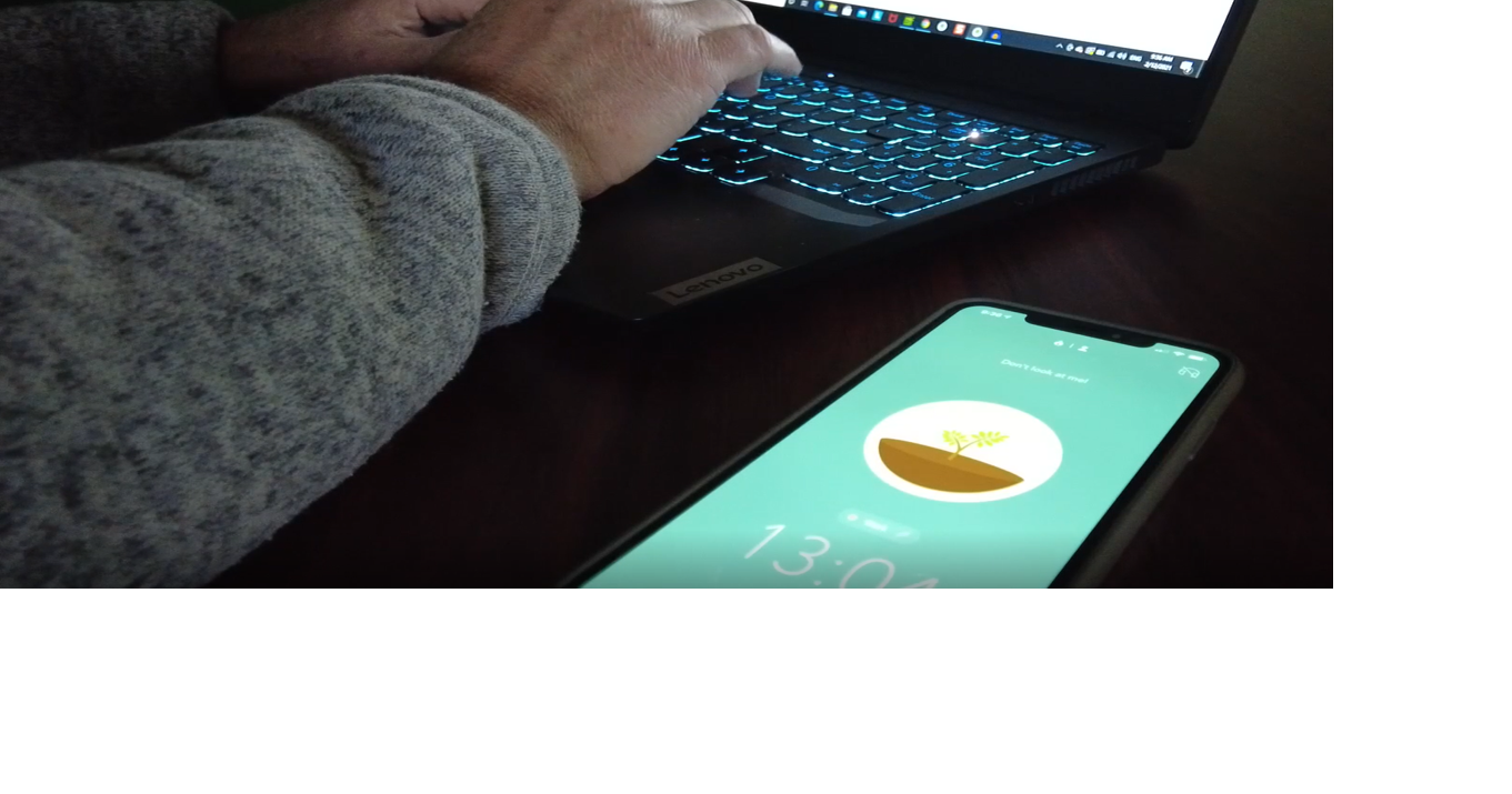 App of the Day: Forest plants trees when you unplug | News | WPSD Local 6