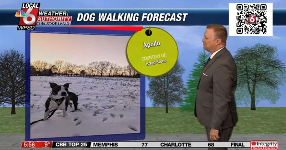Dog walking forecast 1.20.25 | Weather Dog walking forecast 1.20.25 | Weather