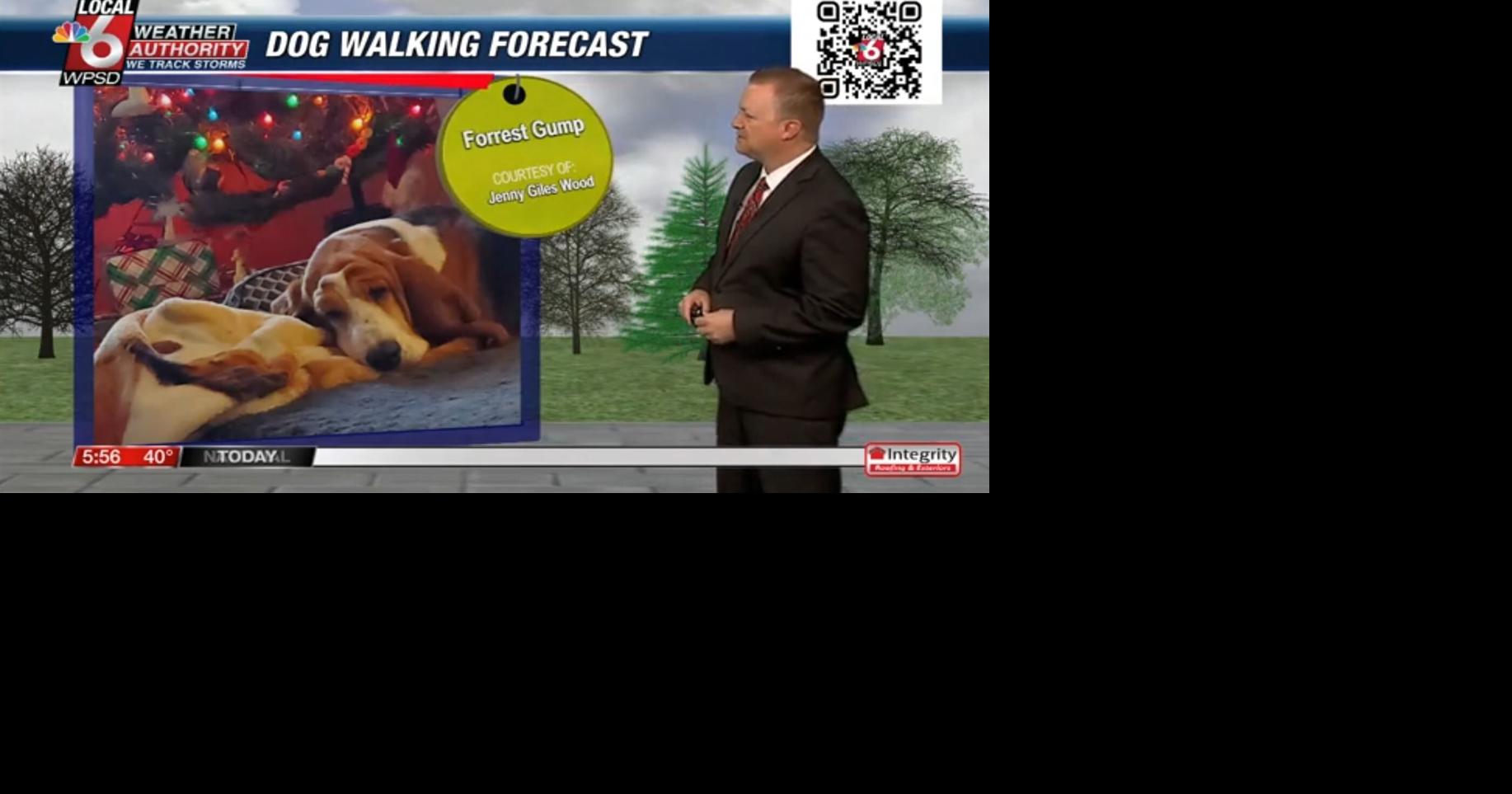 Dog walking forecast 12.20.24