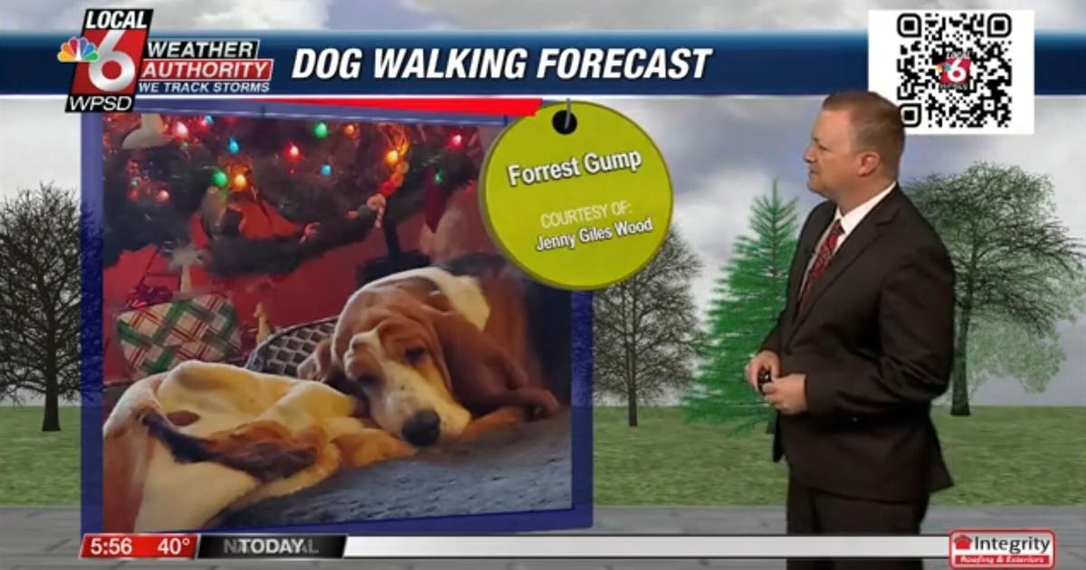 Dog walking forecast 12.20.24 Dog walking forecast 12.20.24