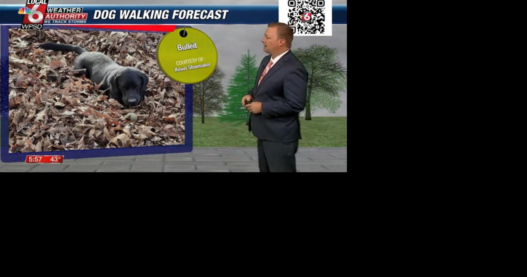 Dog walking forecast 11.27.24