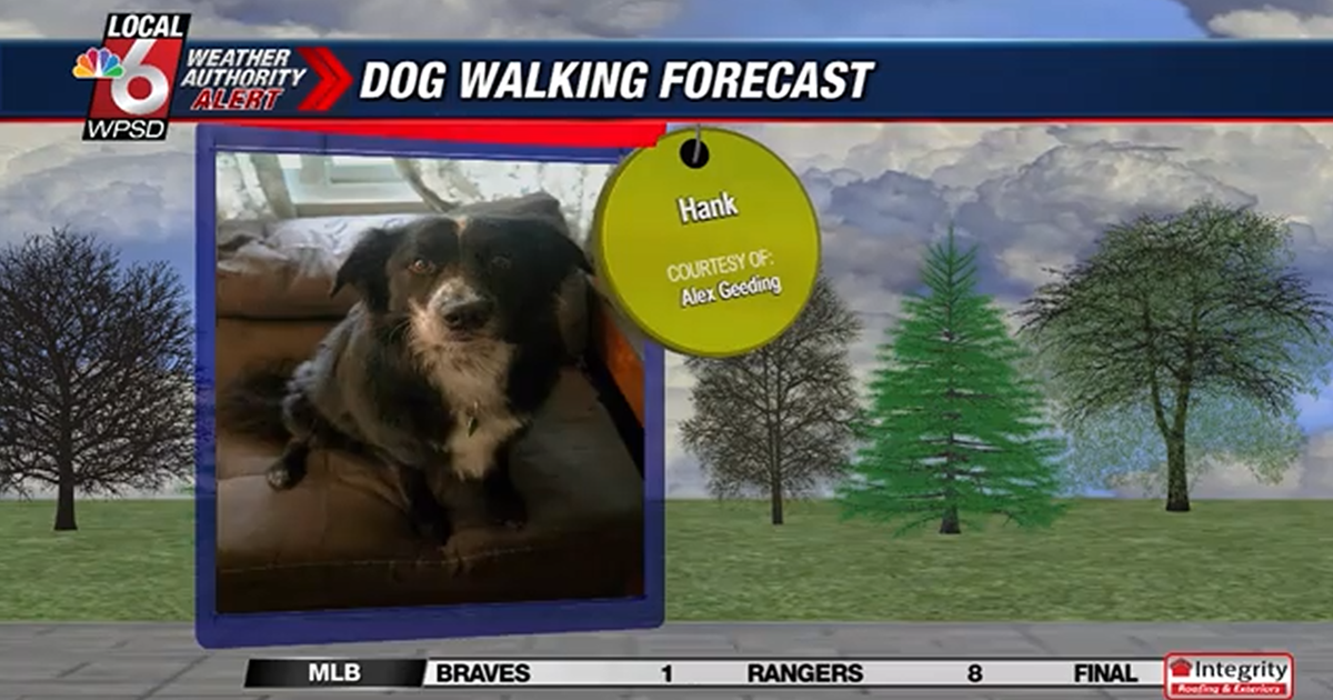 Dog walking forecast 7.28.25 Dog walking forecast 7.28.25