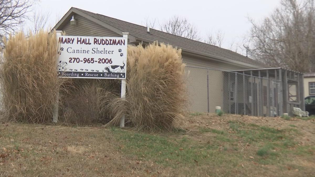 Nokill animal shelter serving 3 west Kentucky counties in need of