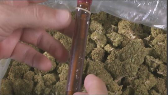 Health care providers navigate medical marijuana prescriptions for patients