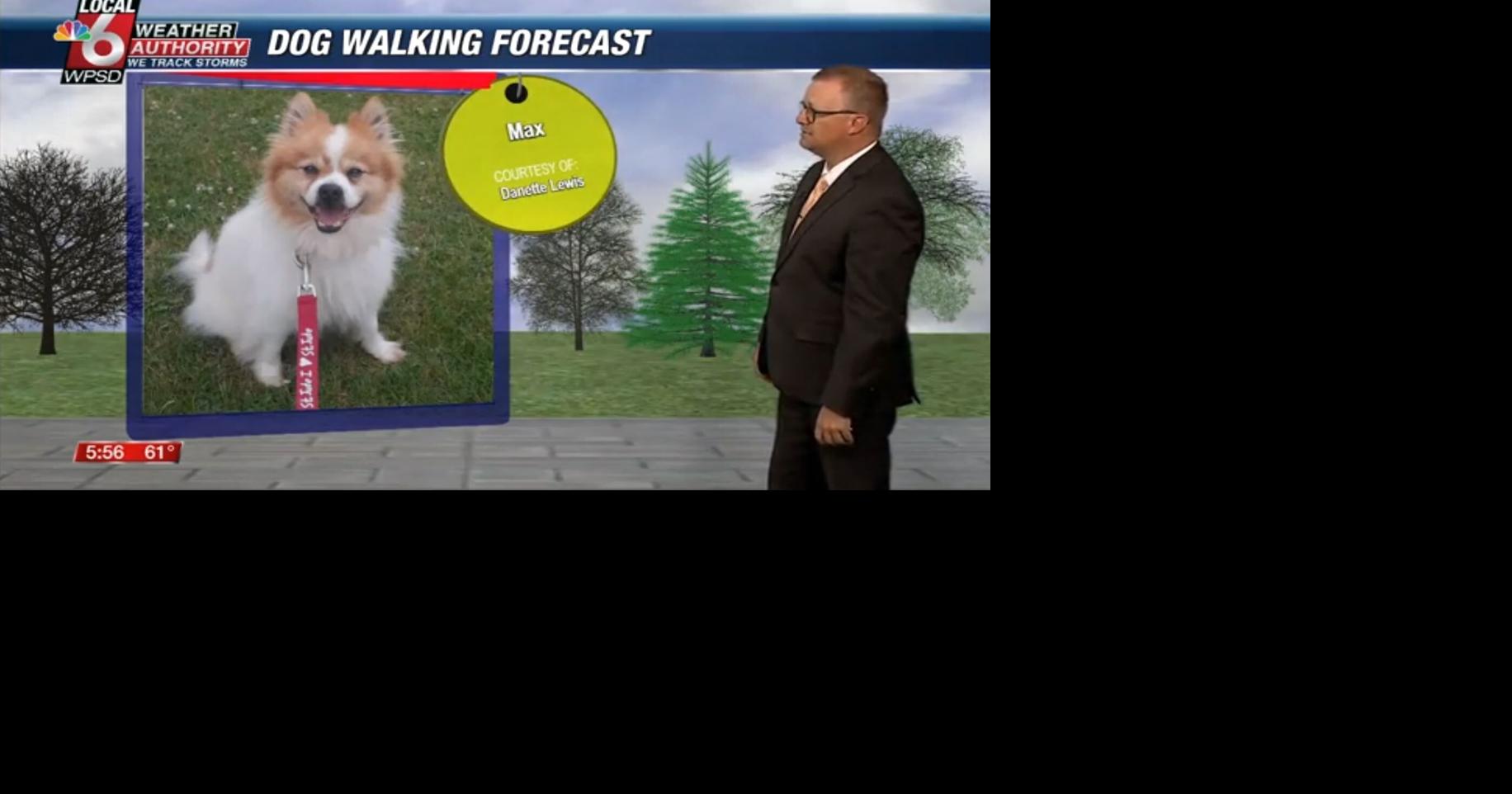 Dog walking forecast 5.29.25