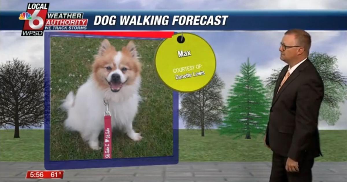 Dog walking forecast 5.29.25 Dog walking forecast 5.29.25