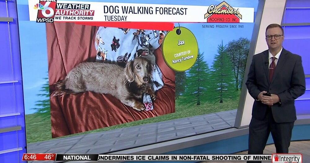 Dog walking forecast 4.7.26 | News Dog walking forecast 4.7.26 | News