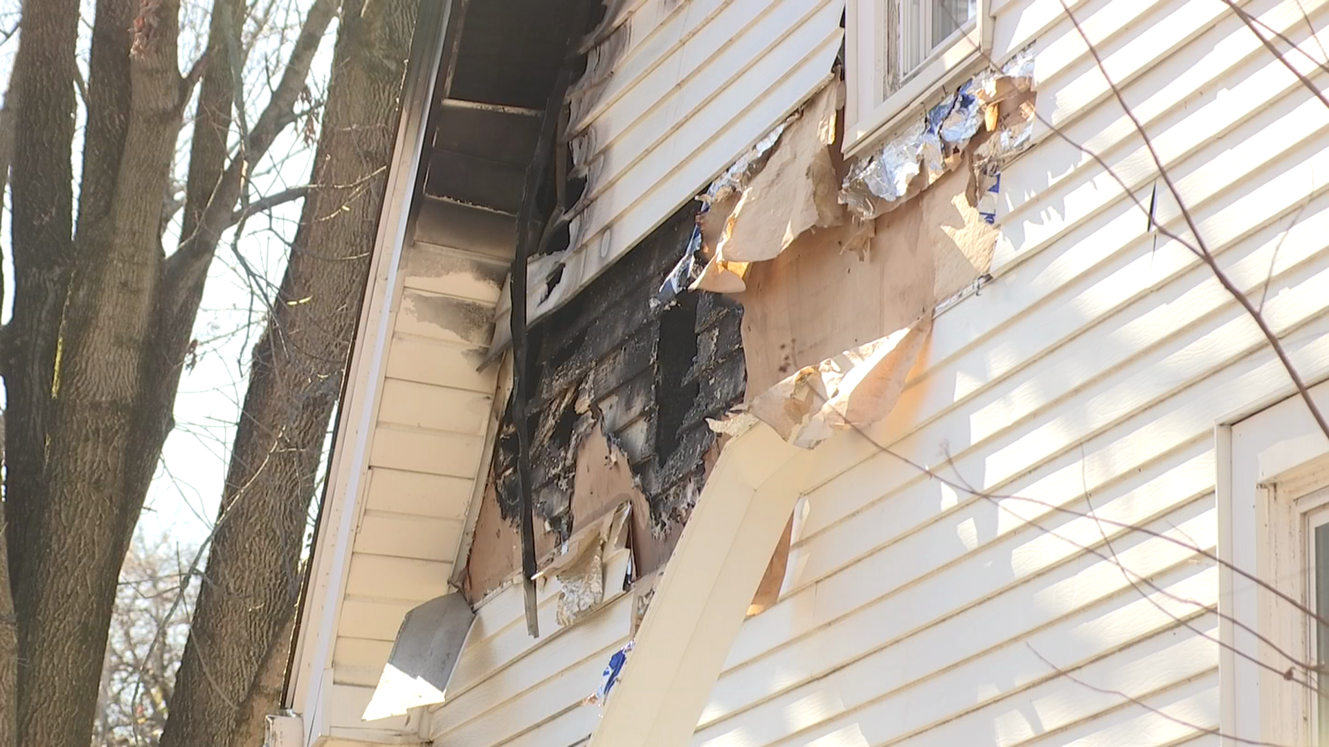 Dog saves Murray woman from house fire ahead of Christmas | News | WPSD ...